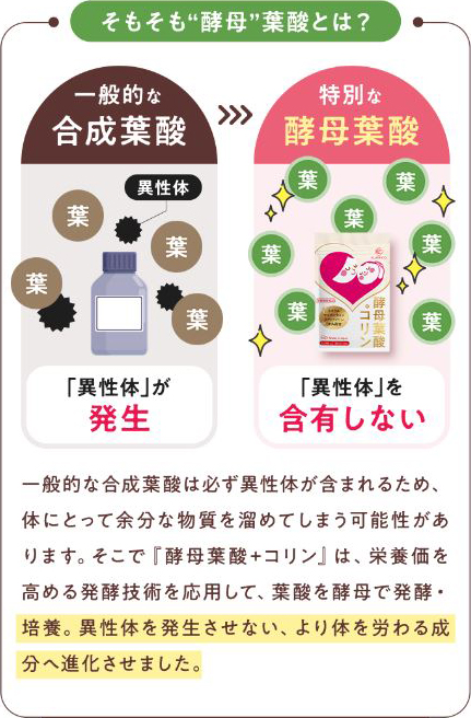 酵母葉酸とは　特徴